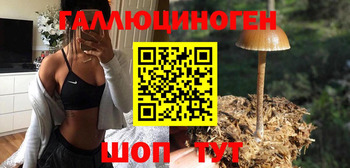 Галлюциногенные грибы прущие грибы Горячий Ключ