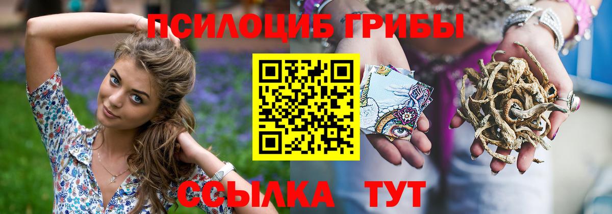 Галлюциногенные грибы Psilocybine cubensis  Вход с VPN  Горячий Ключ  сколько стоит  Псилоцибиновые грибы Cubensis 